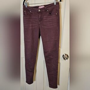 Altar'd State Maroon Skinny Jeans